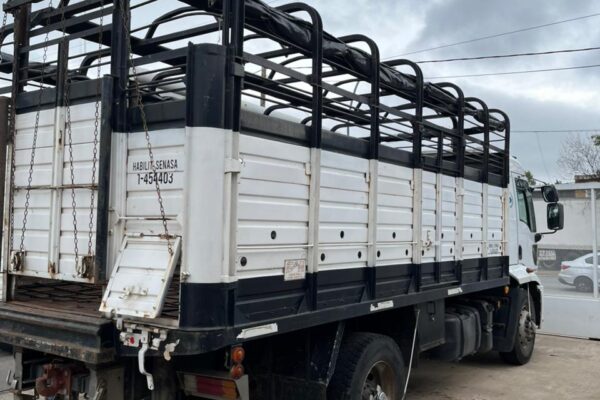 WhatsApp Image 2026-03-06 at 12.21.21 PM (2)